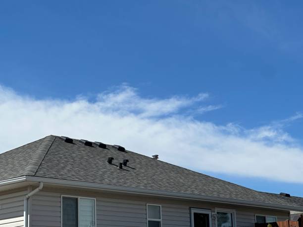 Roswell, GA Roof Repair & Installaion Company